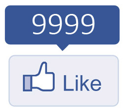 Facebook Like Button