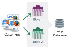Multi-Store Support